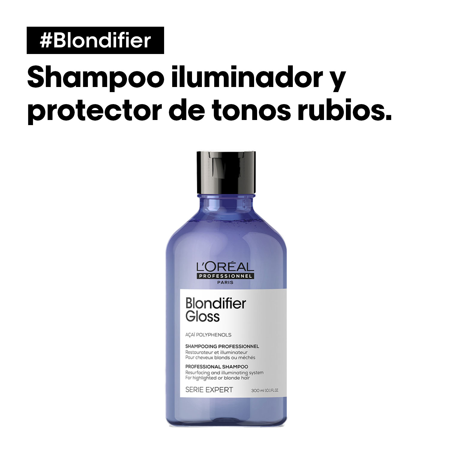 SHAMPOO BLONDIFIER (SHAMPOO PARA CABELLO RUBIO)